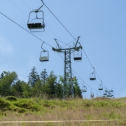 Sessel_Lankholz (Mittel)